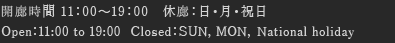 開廊時間11：00～19：00 休廊：日・月・祝日 Open 11:00 to 19:00 Closed SUN, MON, National holiday